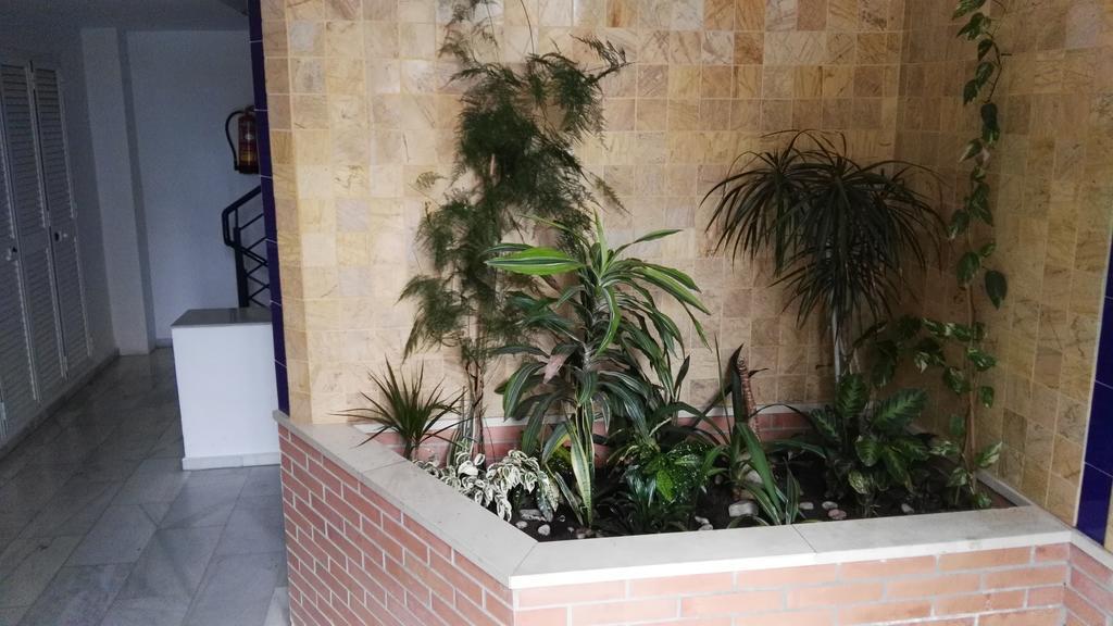 Апартаменты Fan Flat Eugenio (Adults Only) Малага Экстерьер фото